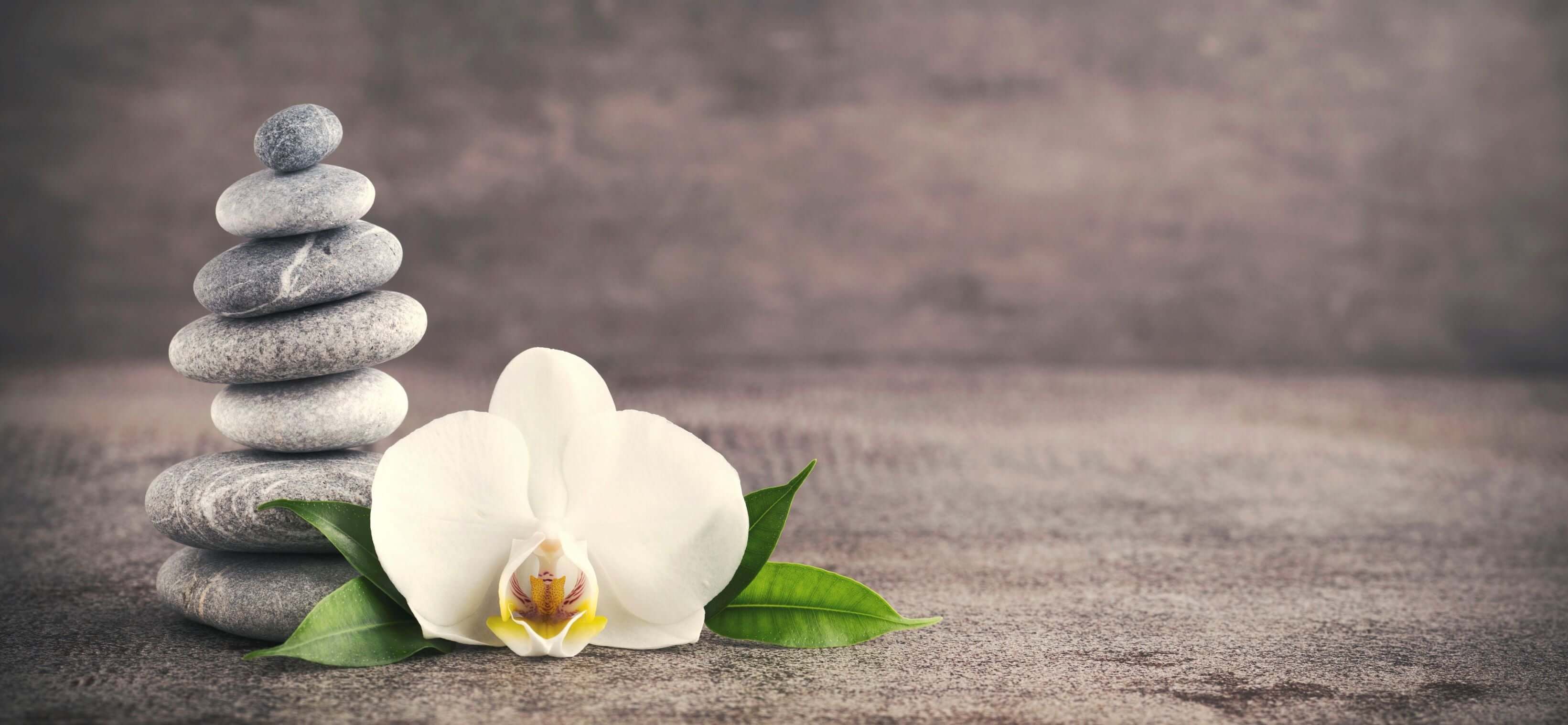 wellness orchidee zen